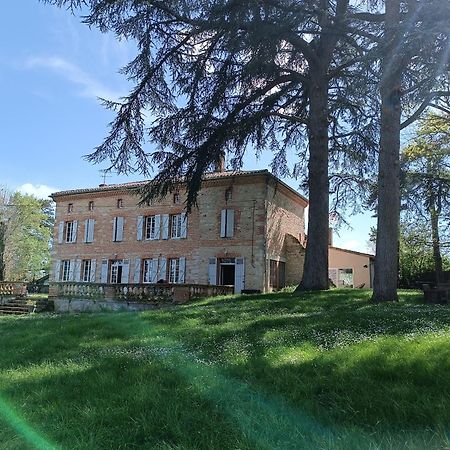 Le Jardin Des Cedres Hotel Lavaur  Kültér fotó