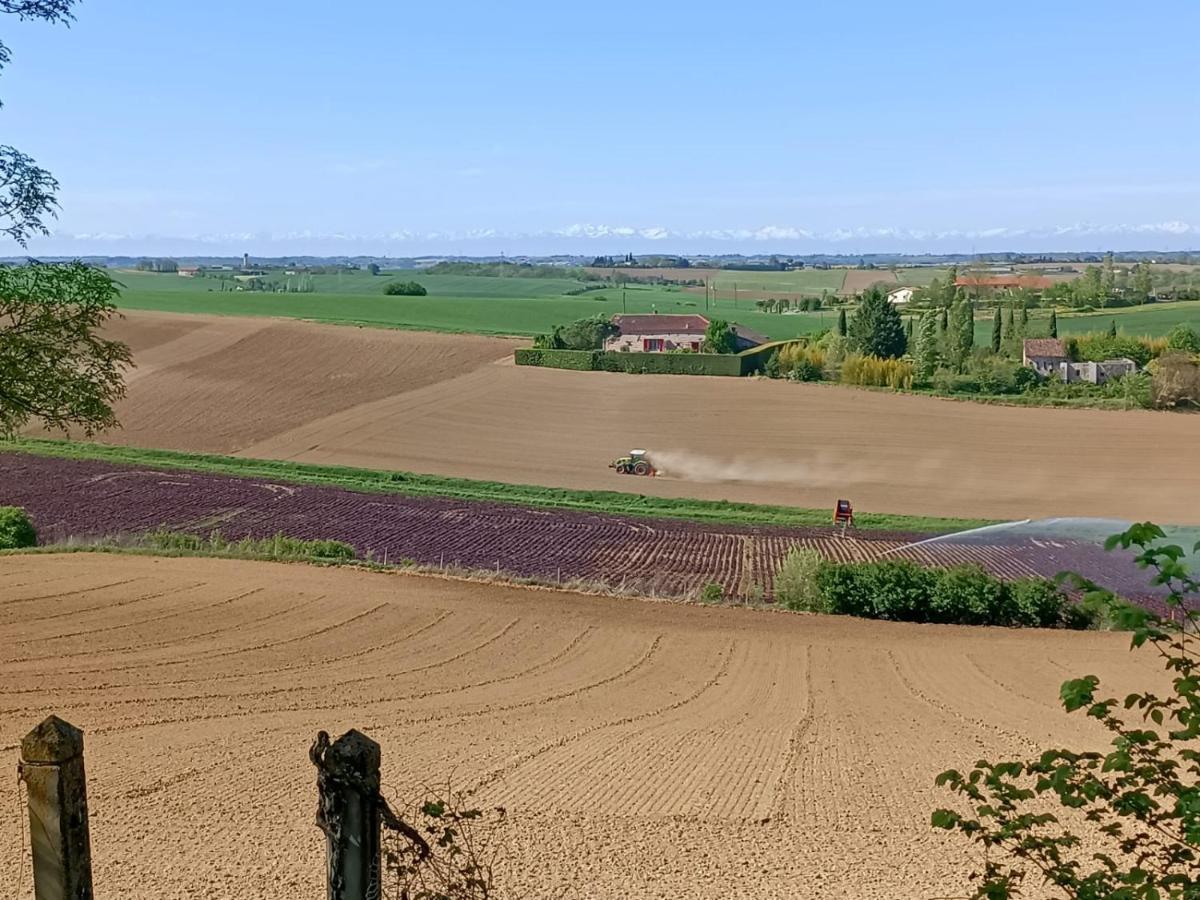 Le Jardin Des Cedres Hotel Lavaur  Kültér fotó