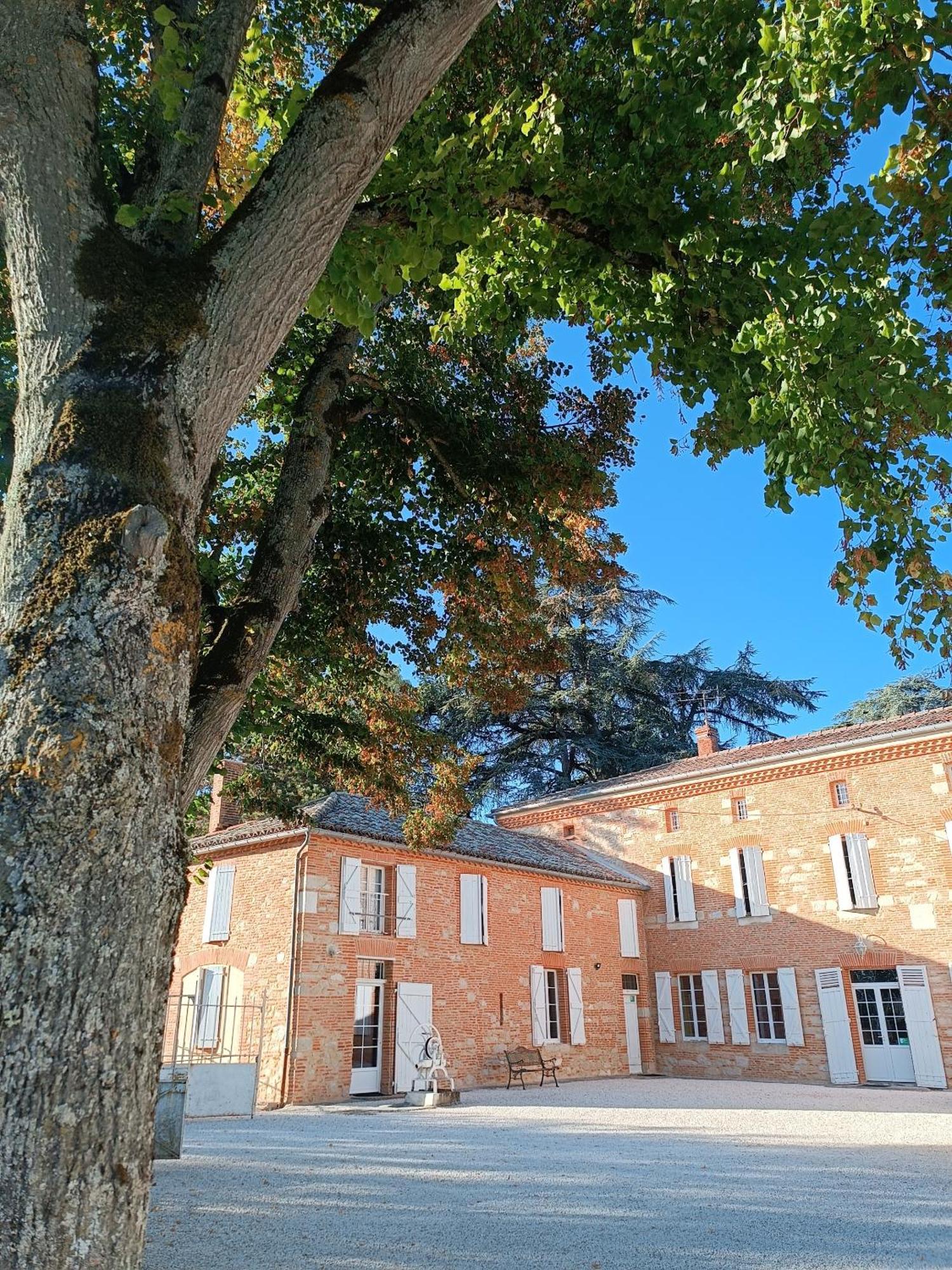 Le Jardin Des Cedres Hotel Lavaur  Kültér fotó