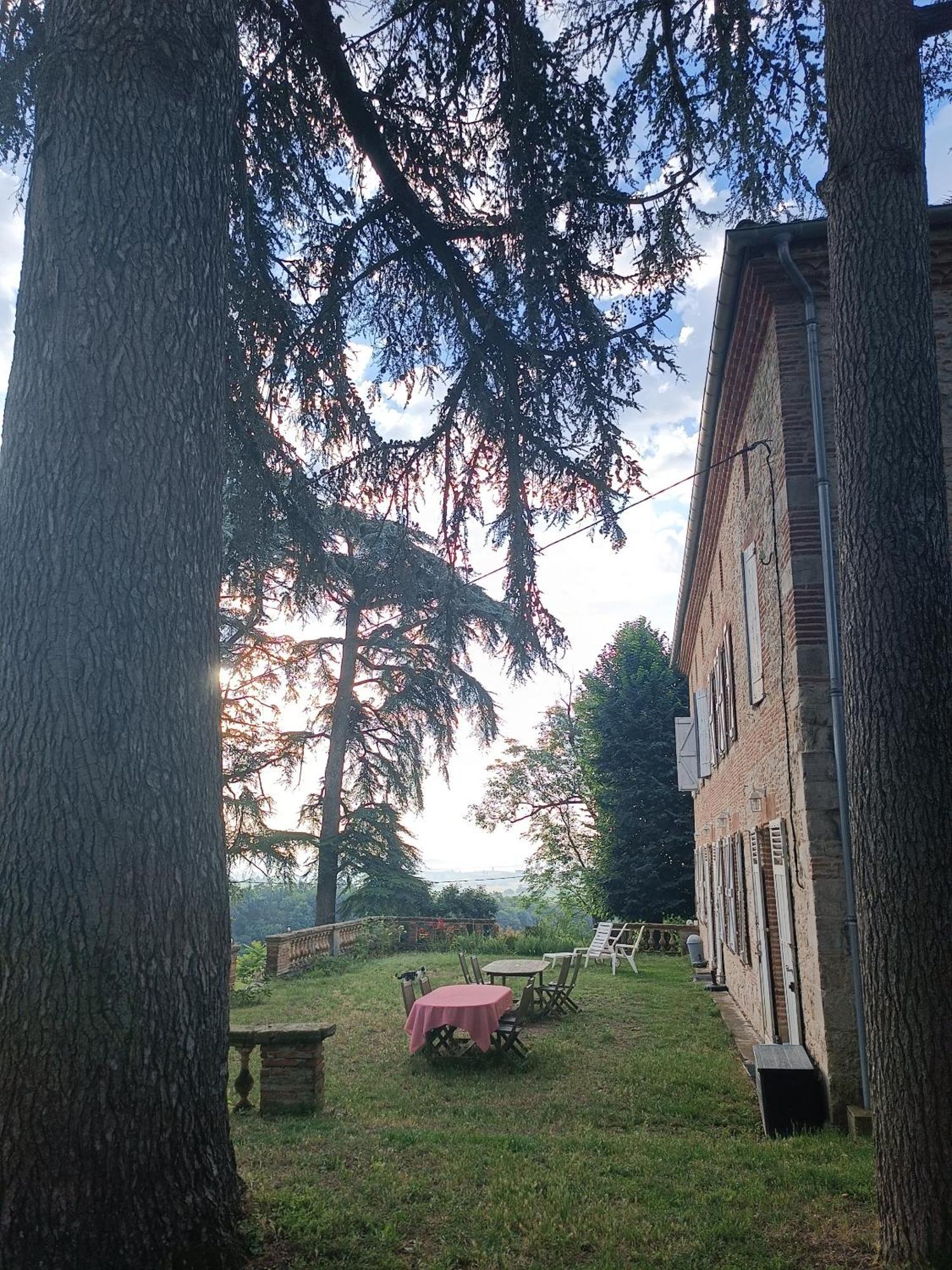 Le Jardin Des Cedres Hotel Lavaur  Kültér fotó