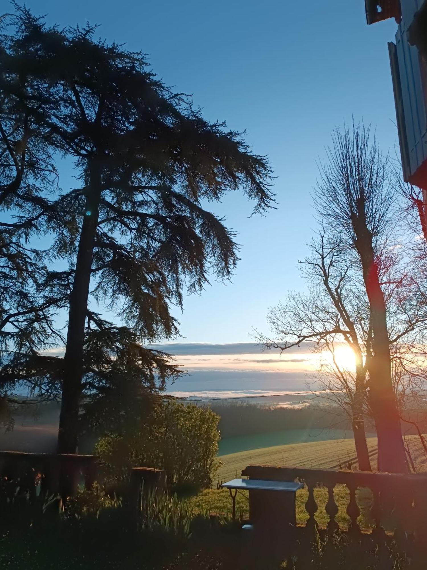 Le Jardin Des Cedres Hotel Lavaur  Kültér fotó