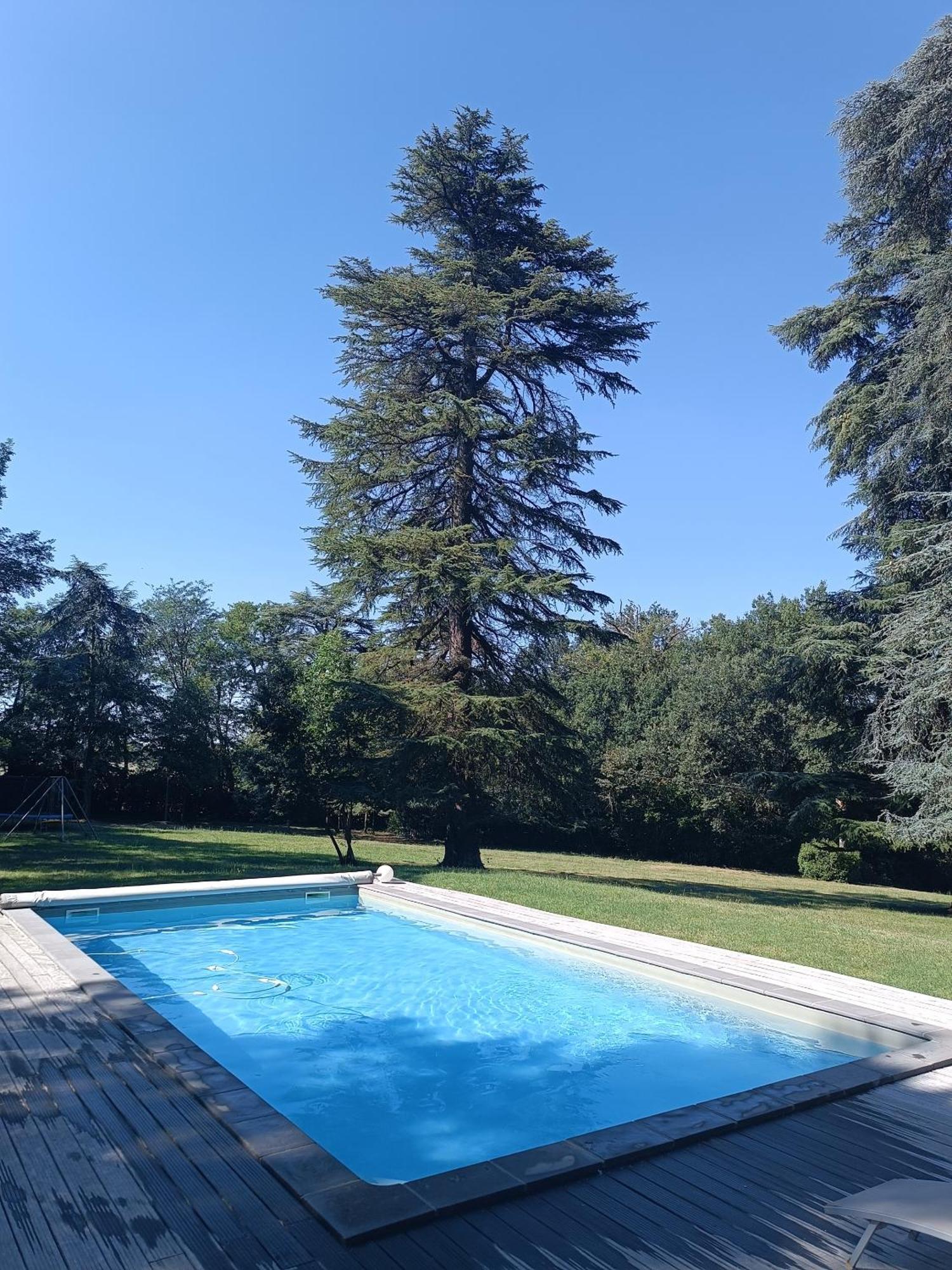 Le Jardin Des Cedres Hotel Lavaur  Kültér fotó