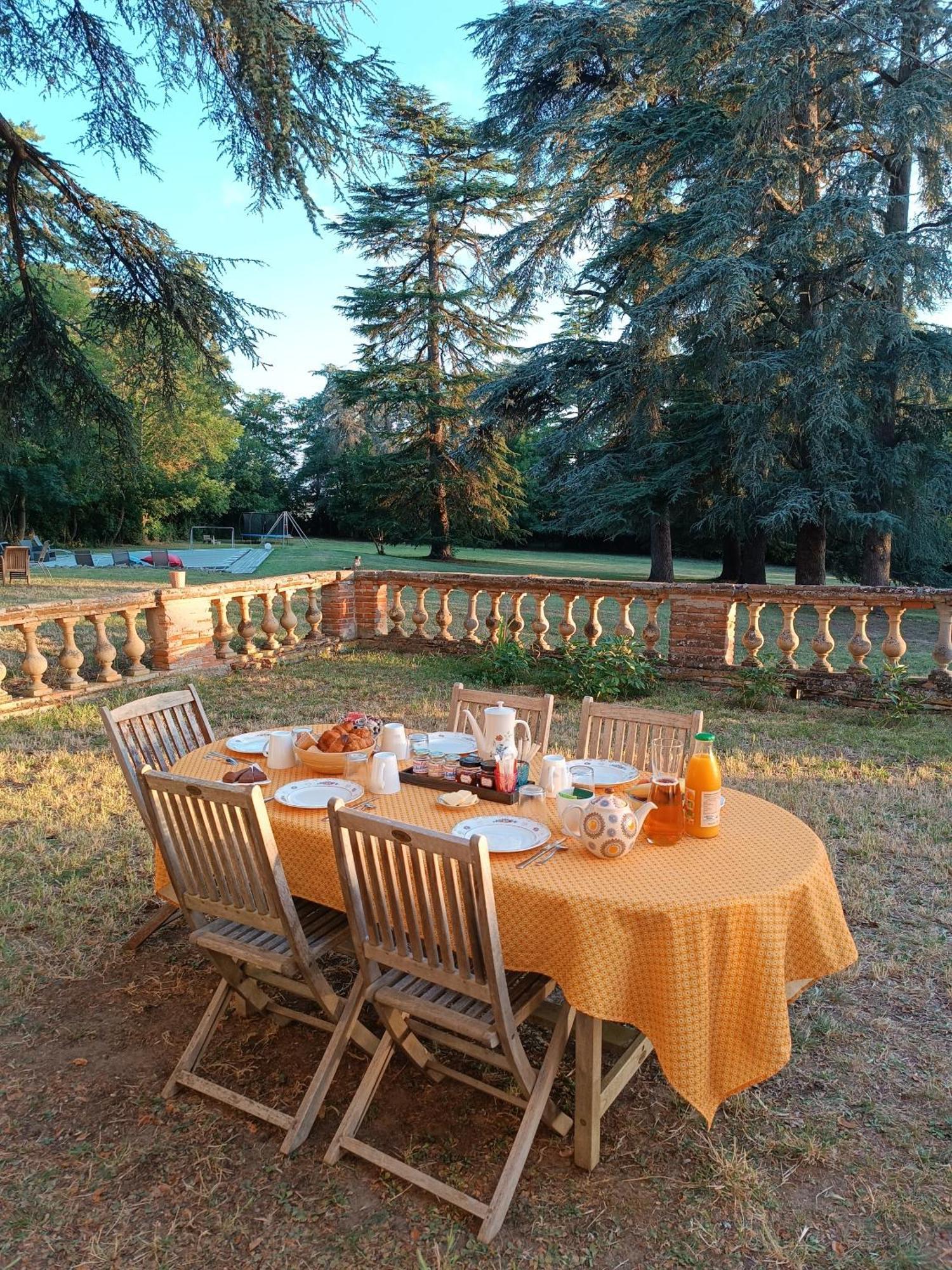 Le Jardin Des Cedres Hotel Lavaur  Kültér fotó